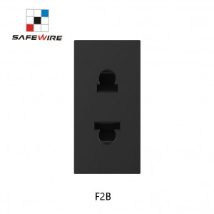 Safewire F2B 15000 Pull out Plug Number 2 Pin Socket 10A PC Plastic