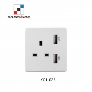 Safewire KC1-025 3 Pin with 2USB socket