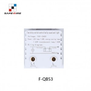 Safewire FQB53 45*45mm Acousto-optic delay switch