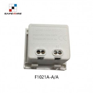 Safewire F1021A-A/A Double Port USB Charging 5V 4.2A USB charger