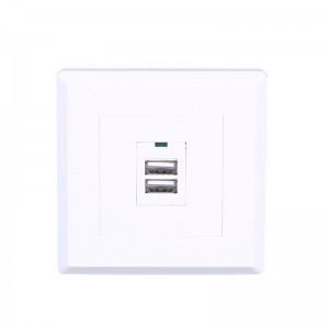 High Quality for Smart Power Socket - XJY-USB-27-I-A-A – Safewire Electric