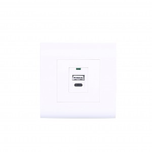 Fast delivery 2 Usb Wall Switch Socket - XJY-USB-26-C-A-C – Safewire Electric